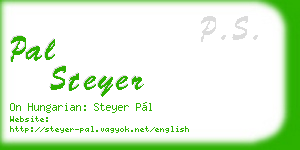 pal steyer business card